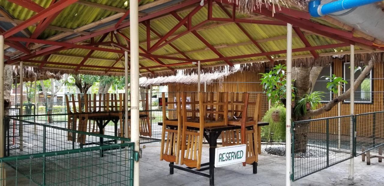 Buenavista Family Inn Tagudin Exterior photo